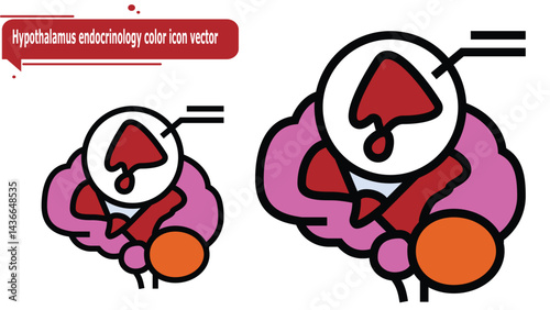 Hypothalamus endocrinology color icon vector