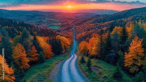 Aerial view of mountain road in forest at sunset in autumn