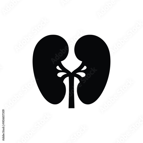 A Simple Black and White Illustration of a Pair of Kidneys with Vessels Extending from Them