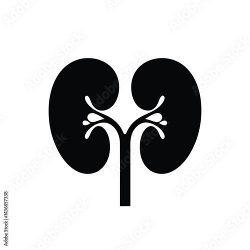 Human Kidney Medical Organ Anatomy Biological Urinary System Medicine Health Care and Kidney Disease