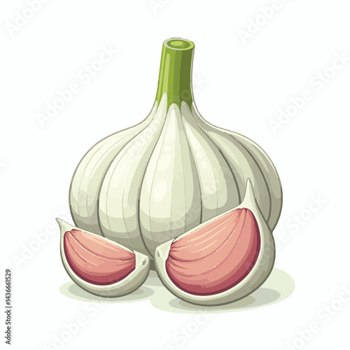 vegetable, spice, organic, clove, raw, ingredient, fresh, isolated, food, healthy, background, closeup, garlic isolated, bulb, seasoning, flavor, garlic, clipping path, nutrition, clipping, harvest, r