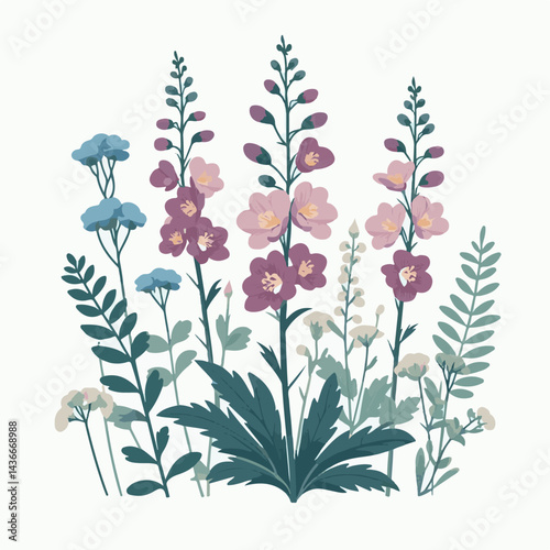 larkspur, flower, blossom, plant, floral, botanical, nature, isolated, illustration, drawing, hand drawn, marigold, graphic, garden, daffodil, vector, rose, art, design, set, summer, background, daisy