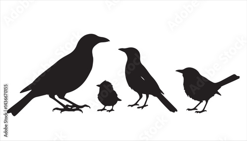 A group of birds with their babies
