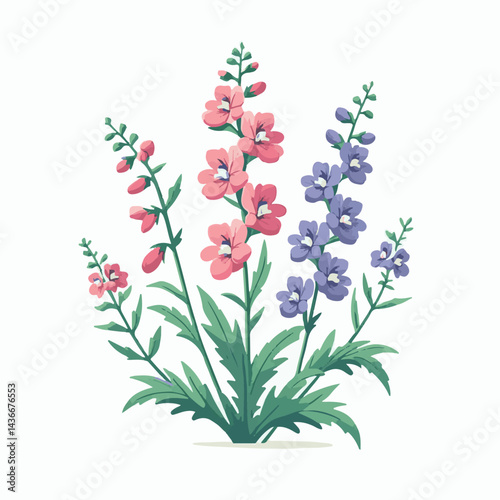 larkspur, flower, blossom, plant, floral, botanical, nature, isolated, illustration, drawing, hand drawn, marigold, graphic, garden, daffodil, vector, rose, art, design, set, summer, background, daisy
