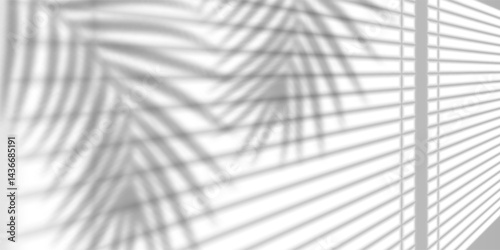 Window Light Shadow on Wall with Tropical Leaf Reflection for Minimalist Interior, Nature, and Summer Design Concepts. Vector Illustration