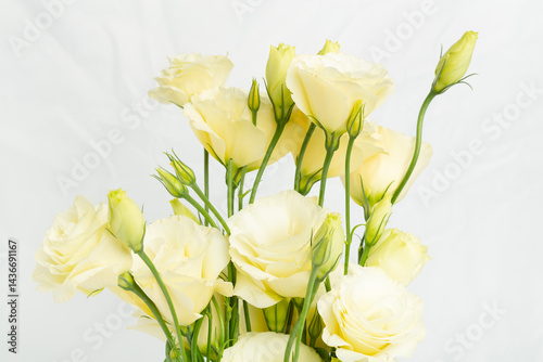 Wallpaper Mural Beautiful eustoma flowers on light background, closeup view Torontodigital.ca