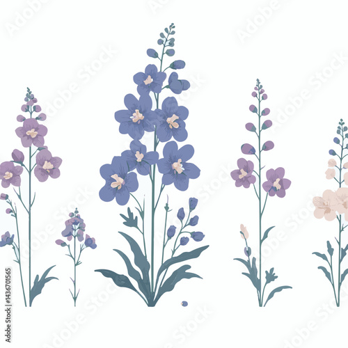 larkspur, flower, blossom, plant, floral, botanical, nature, isolated, illustration, drawing, hand drawn, marigold, graphic, garden, daffodil, vector, rose, art, design, set, summer, background, daisy