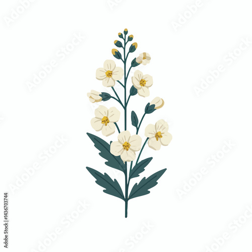 larkspur, flower, blossom, plant, floral, botanical, nature, isolated, illustration, drawing, hand drawn, marigold, graphic, garden, daffodil, vector, rose, art, design, set, summer, background, daisy
