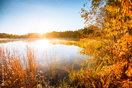 A splendid lake in a wild area surrounded by forest in autumn sunny weather. Photo wallpaper.