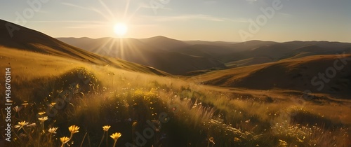 Late afternoon sunlight warming gentle hills covered in swaying golden grasses and scattered wildflowers