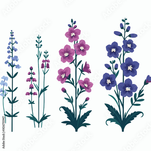 larkspur, flower, blossom, plant, floral, botanical, nature, isolated, illustration, drawing, hand drawn, marigold, graphic, garden, daffodil, vector, rose, art, design, set, summer, background, daisy