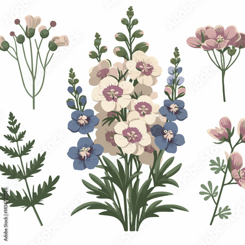 larkspur, flower, blossom, plant, floral, botanical, nature, isolated, illustration, drawing, hand drawn, marigold, graphic, garden, daffodil, vector, rose, art, design, set, summer, background, daisy