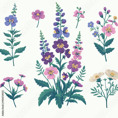 larkspur, flower, blossom, plant, floral, botanical, nature, isolated, illustration, drawing, hand drawn, marigold, graphic, garden, daffodil, vector, rose, art, design, set, summer, background, daisy