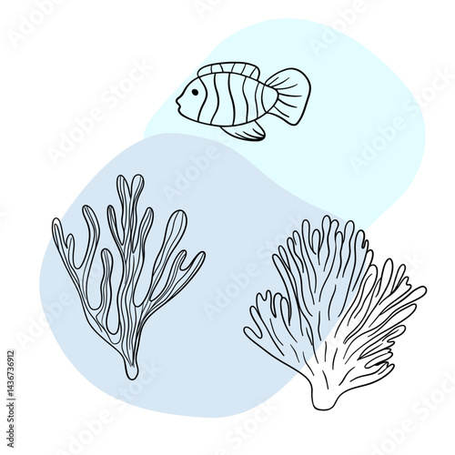 Underwater sea nature plant, Seastar, coral and algae. Tropical aqua marine sketch.  Hand drawn line art collections 