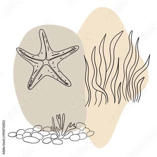 Underwater sea nature plant, Seastar, coral and algae. Tropical aqua marine sketch.  Hand drawn line art collections 