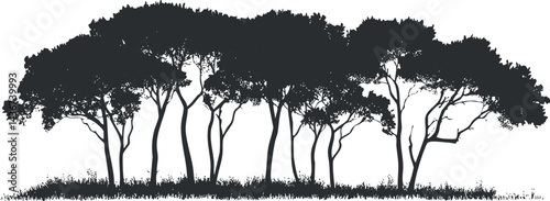 Silhouette of a group of trees with dense foliage and visible trunks on a white background