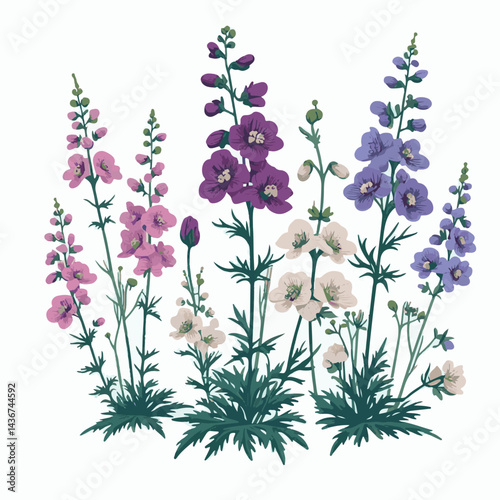 larkspur, flower, blossom, plant, floral, botanical, nature, isolated, illustration, drawing, hand drawn, marigold, graphic, garden, daffodil, vector, rose, art, design, set, summer, background, daisy