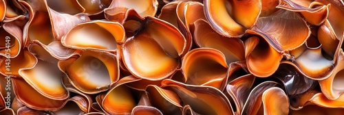 delicious goose barnacle -