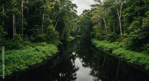 River Through Lush Forest - Photo