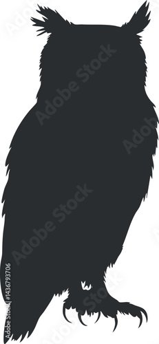 Silhouette of an owl perched with detailed feathers and sharp talons isolated on white background