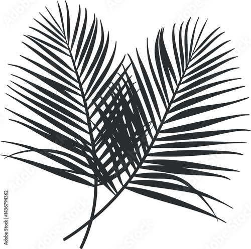 Black silhouette of three overlapping palm leaves isolated on white background, tropical botanical design