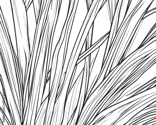Black and white line art drawing of grass blades showing detailed leaves and stalks in nature