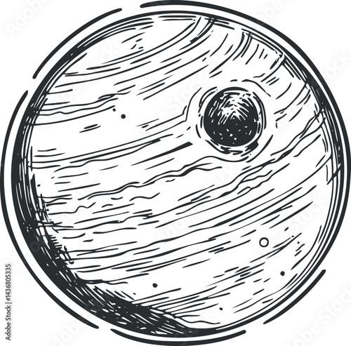 Closeup illustration of natural wood grain texture showing circular pattern and rough surface