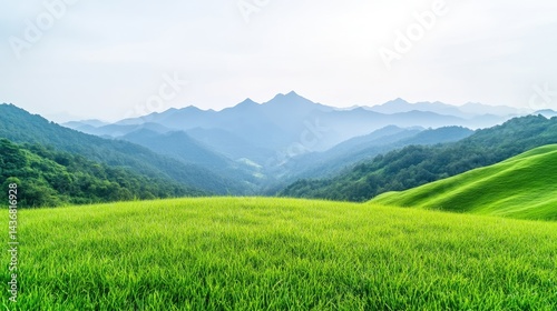 Lush green meadow stretching to misty mountains