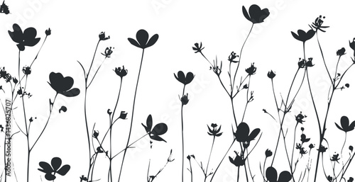 Black silhouette of wildflowers and stems against a white background for natural and botanical design.