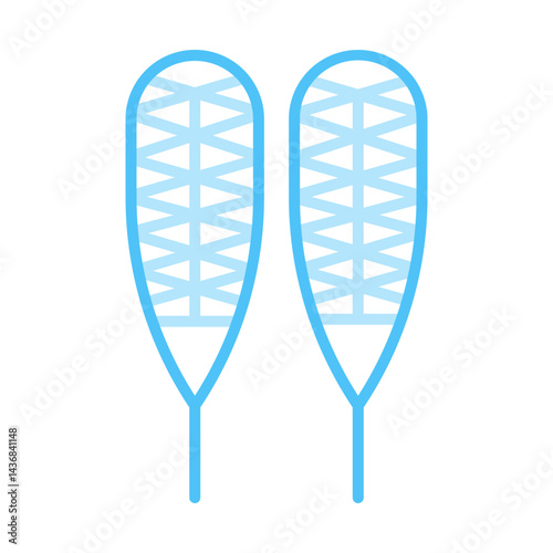 Snowshoes flat icon