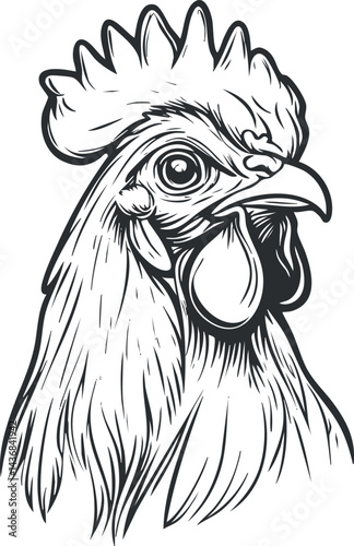 Black and white line art illustration of a rooster head showing detailed feathers and comb