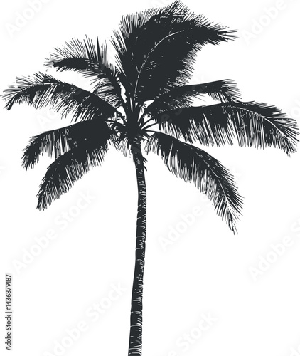 Black silhouette of a tall palm tree with detailed tropical leaves isolated on white background