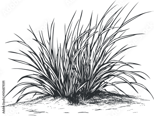 Detailed black and white sketch of wild grass blades growing from the ground in a natural outdoor setting