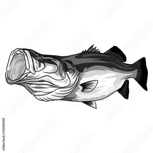 barramundi fishing illustration logo vector image t shirt