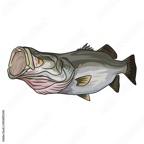 barramundi fishing illustration logo vector image t shirt