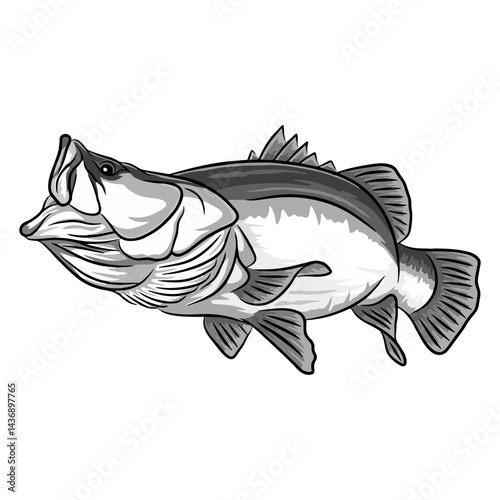 barramundi fishing illustration logo vector image t shirt