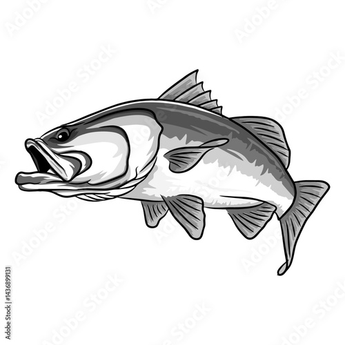 barramundi fishing illustration logo vector image t shirt
