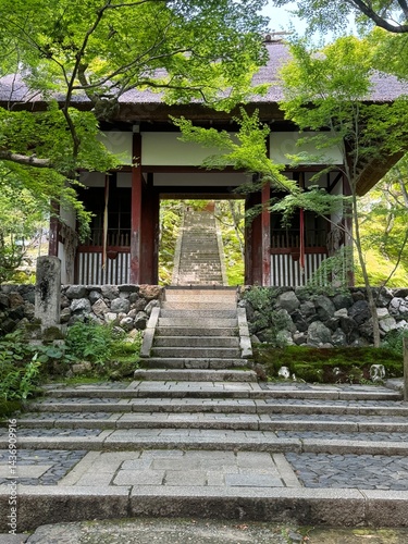 Stairs in a japanese garden