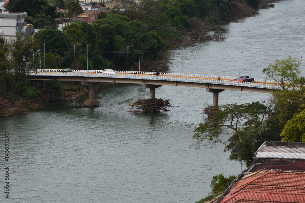 tubarao
