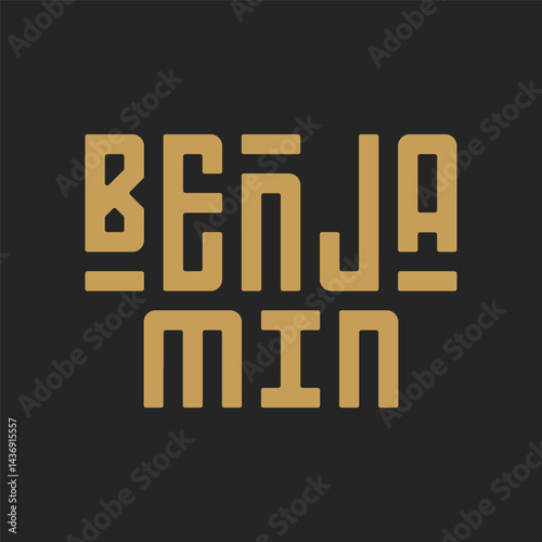 Benjamin Name Typography Design