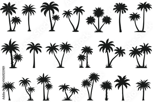 Collection of Black Palm Tree Silhouettes

