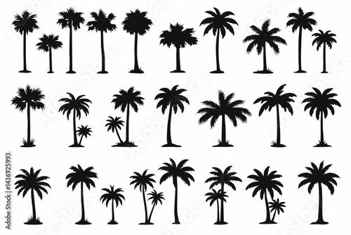 Collection of Palm Tree Silhouettes


