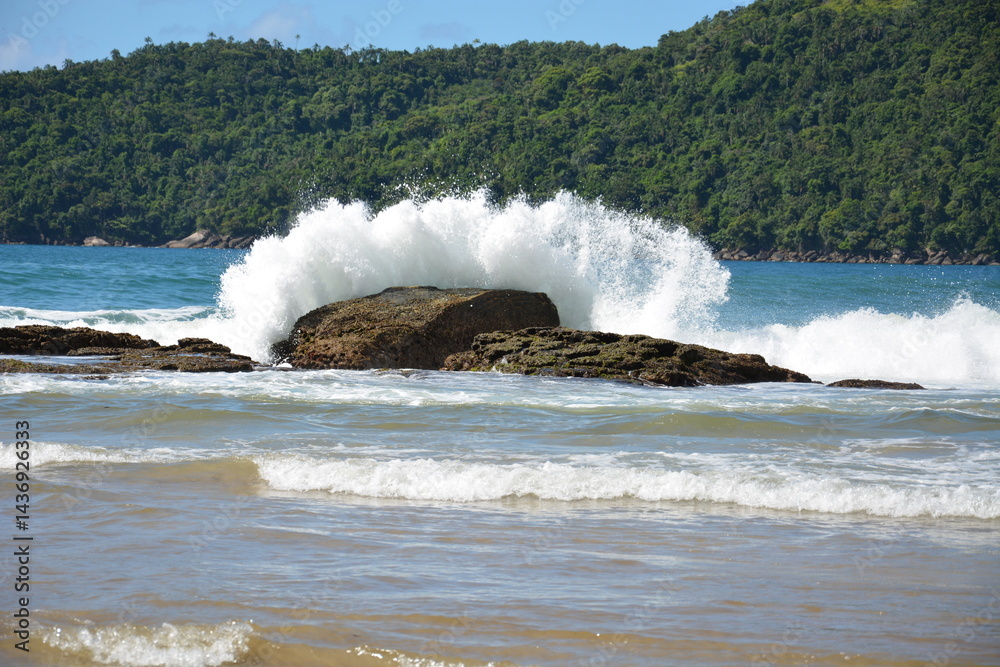 trindade
