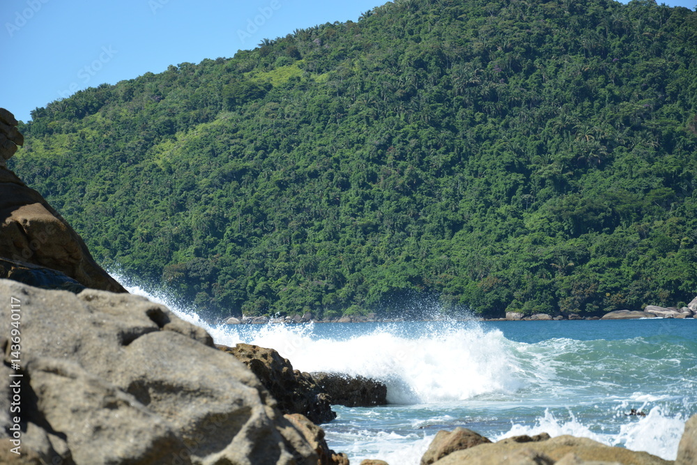 trindade