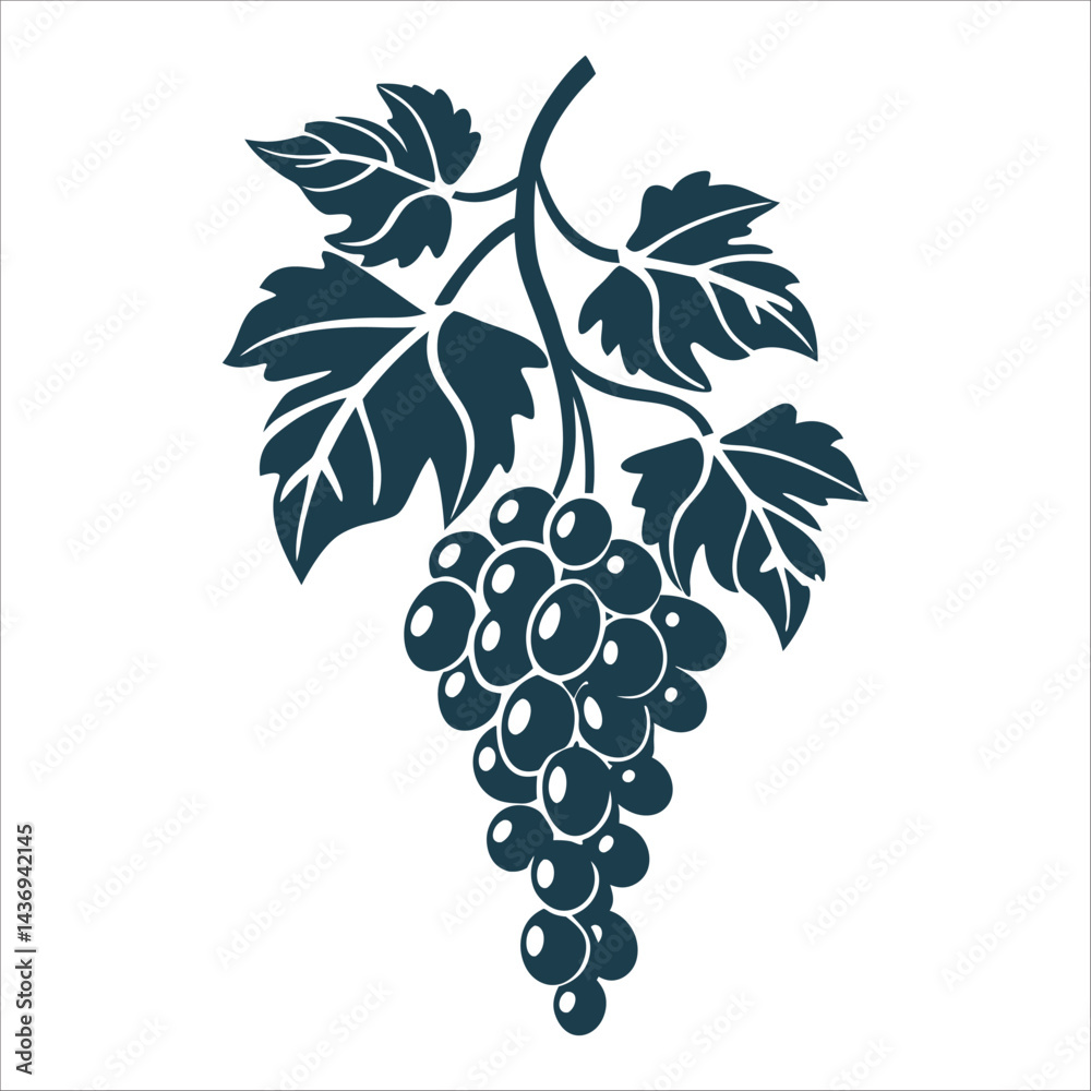 Deep Purple Grape Cluster on Vine, Sagra dell Uva - Sagra dell Uva Grape Harvest Grapevine cluster with leaves in a single shade of deep purple