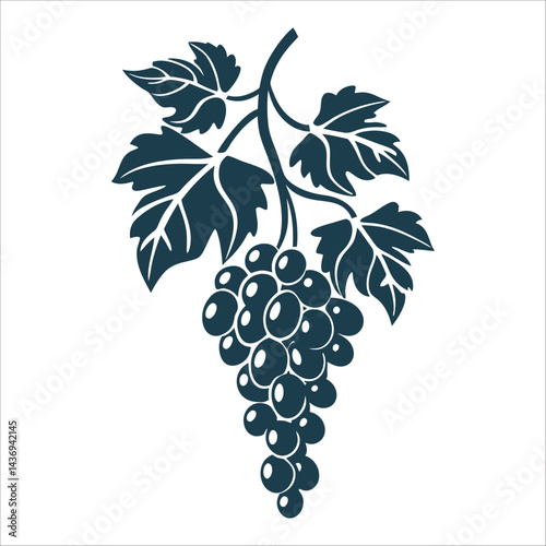 Deep Purple Grape Cluster on Vine, Sagra dell Uva - Sagra dell Uva Grape Harvest Grapevine cluster with leaves in a single shade of deep purple