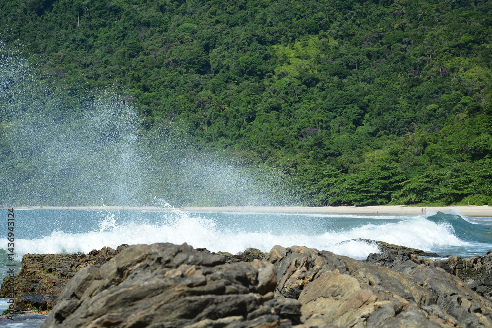 trindade