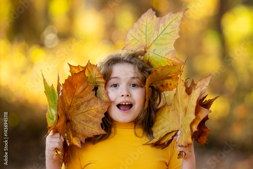 Child portrait in autumn fall park. Little child hold autumn fall leaves, outdoor portrait. Cute child face with autumn leaves in autumn park. Child hold falling leaves. Outdoor portrait of kids.