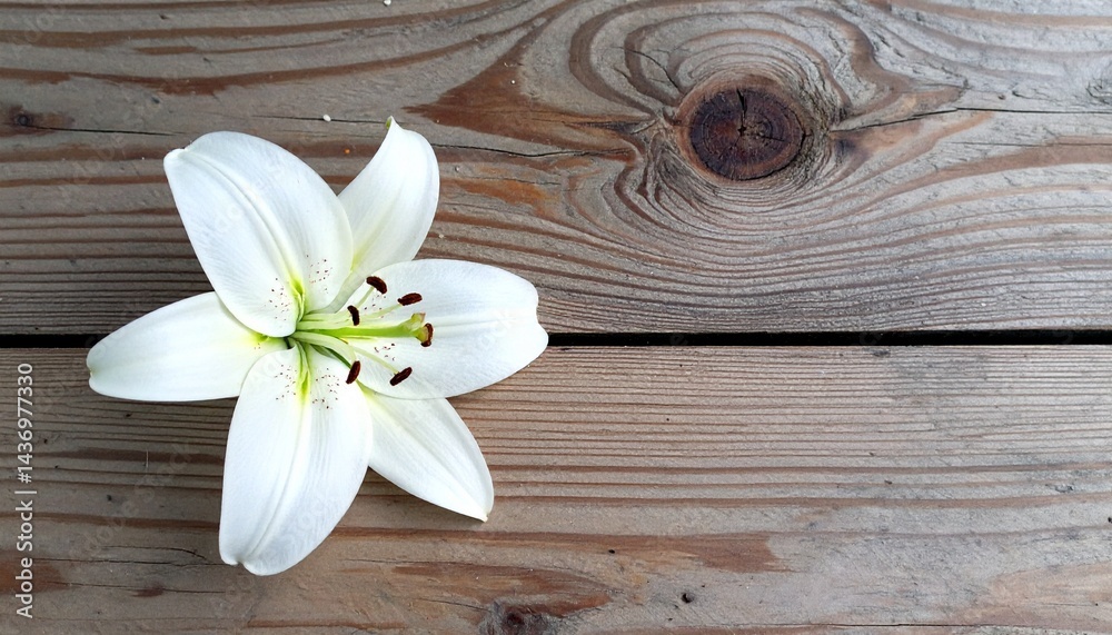 Naklejka premium 柔らかな木目の質感が背景に広がり、白いユリの花がさりげなく置かれた清潔感溢れる6月の風景