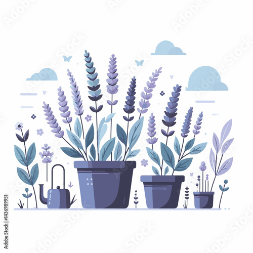 floral, nature, lavender, plant, design, flower, purple, background, blossom, isolated, bouquet, botanical, herbal, natural, herb, bloom, beauty, flora, art, vintage, violet, aroma, illustration, gard